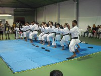 /album/fotos-/imagem-791-jpg/